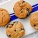 the best blueberry muffins recipes